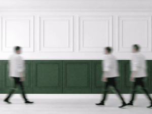 Image représentant une solution acoustique accroche au mur