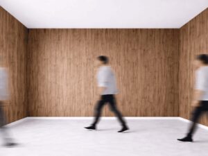 Image représentant une solution acoustique accroche au mur